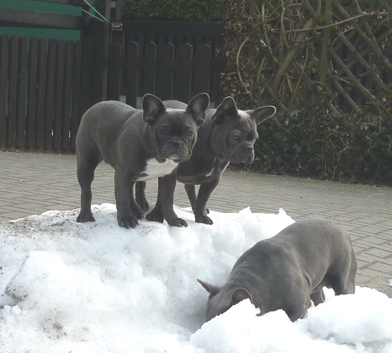 AliceBellaAtze01-2011