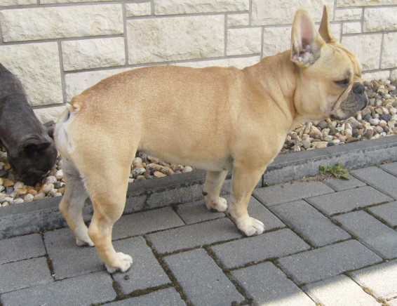Amy