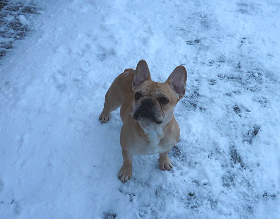Amy
