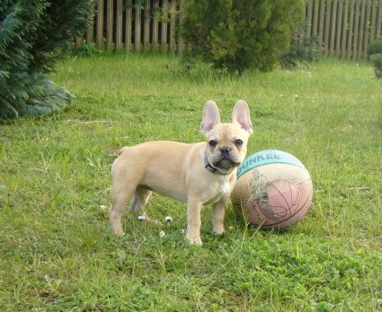 Amy