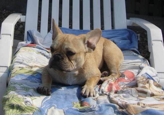 Amy