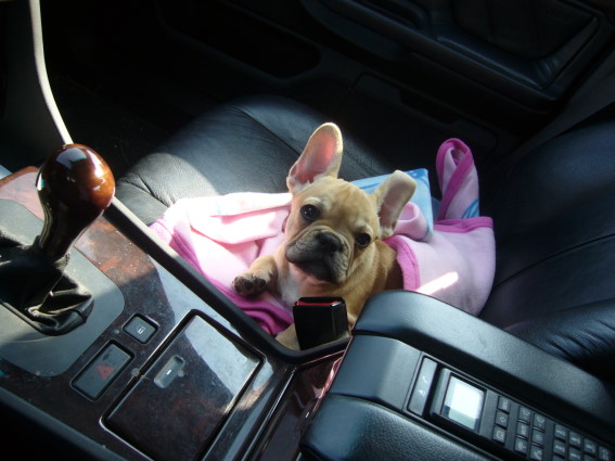 Amy