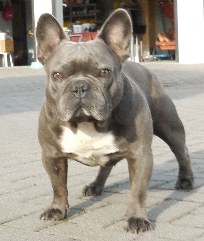 Atze
