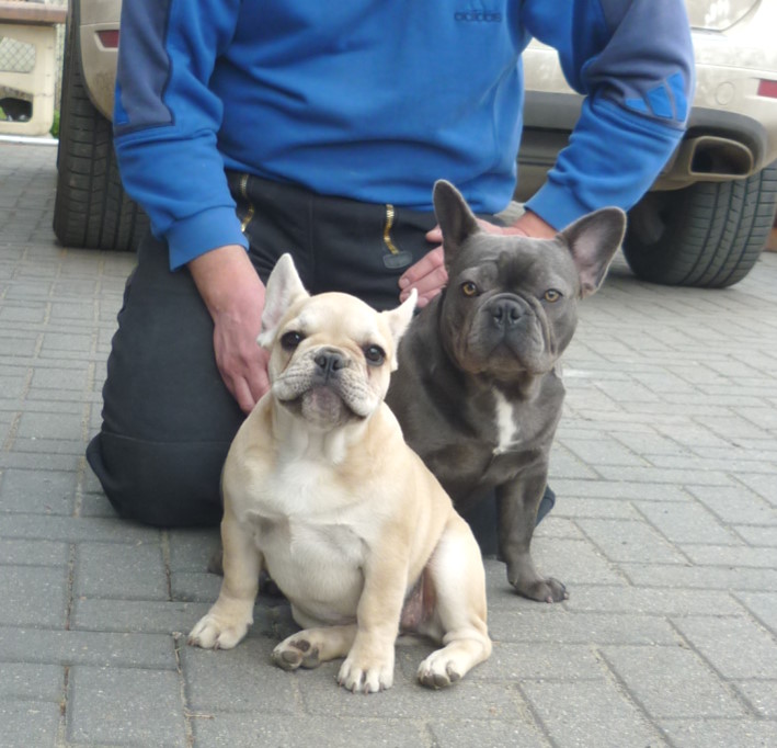 Fiene u. Isabella-Amy