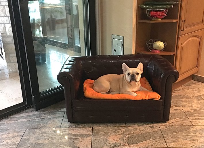 isabella-Amy
